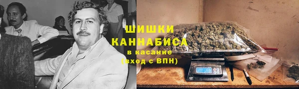 ГАЛЛЮЦИНОГЕННЫЕ ГРИБЫ Бикин
