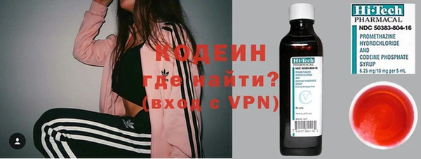 ГАЛЛЮЦИНОГЕННЫЕ ГРИБЫ Бикин