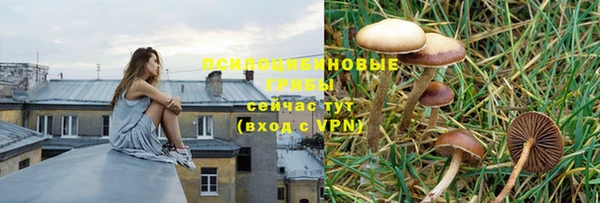 меф Касимов