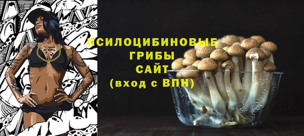 прущий лед Киреевск